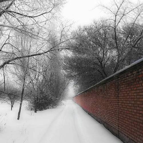 محمد ابراهیم پور تنگه دلم تنگه داره این روزا میجنگه